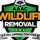 AAAC Wildlife removal of the Central Mountains
