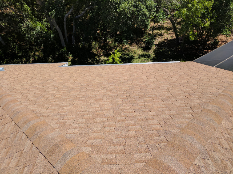 Shingle Roof