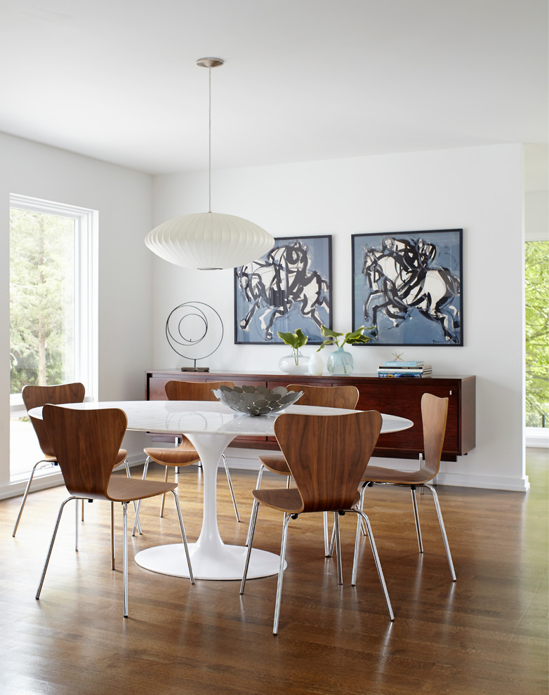 Inspiration for a contemporary dining room in New York with white walls, medium hardwood floors and brown floor.