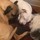 weatherley_tanner