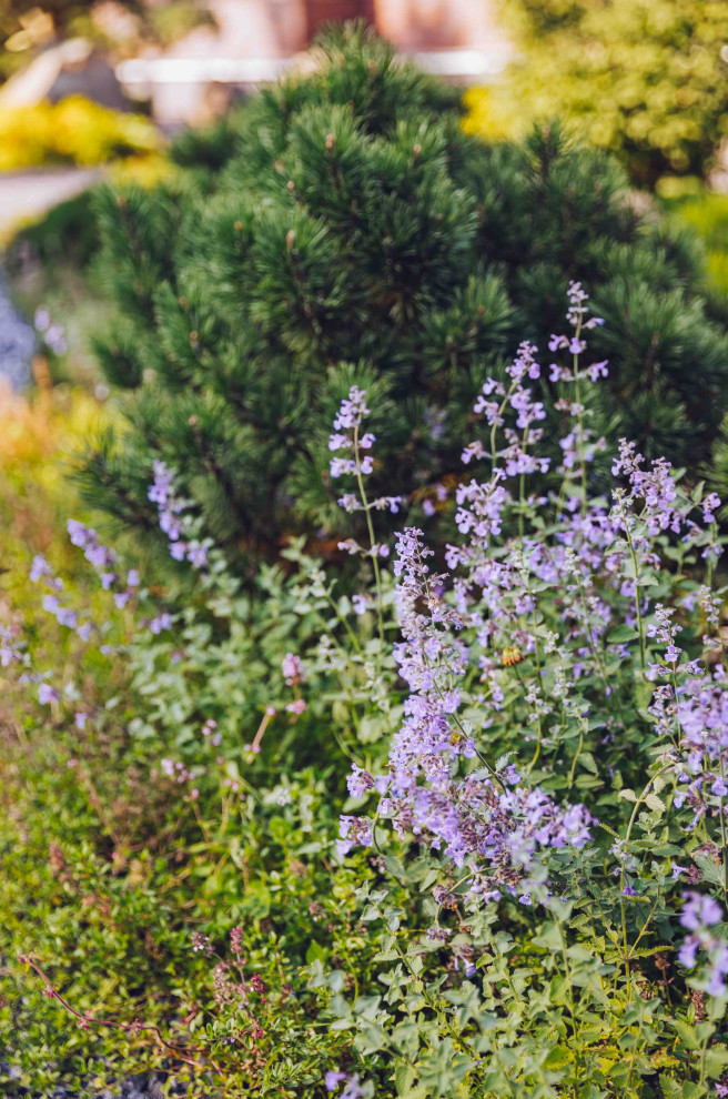 Архитектурное Решение в Пейзажном Стиле