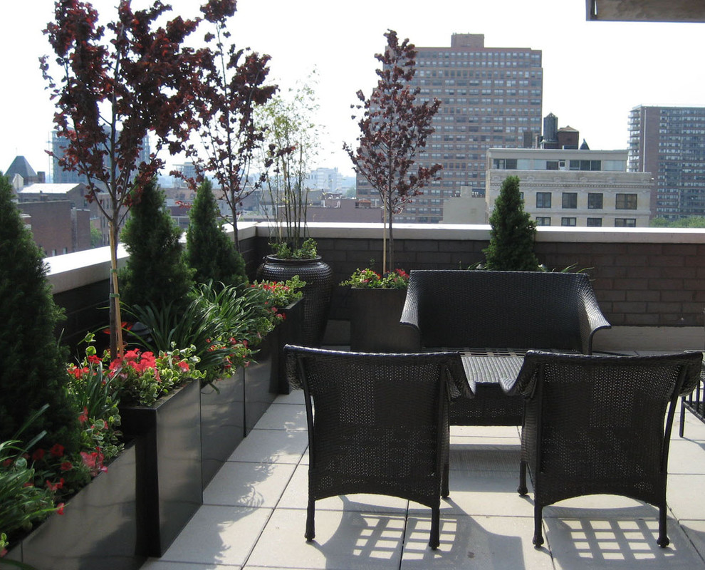 Design ideas for a contemporary rooftop deck in New York with a container garden.