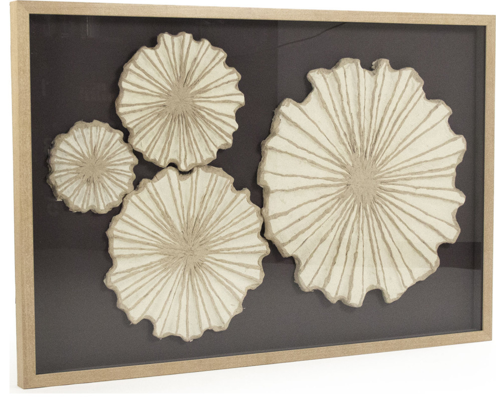 Abstract Circular Paper Framed Art - Fir Wood, Glass, Paper, Sand Dollar