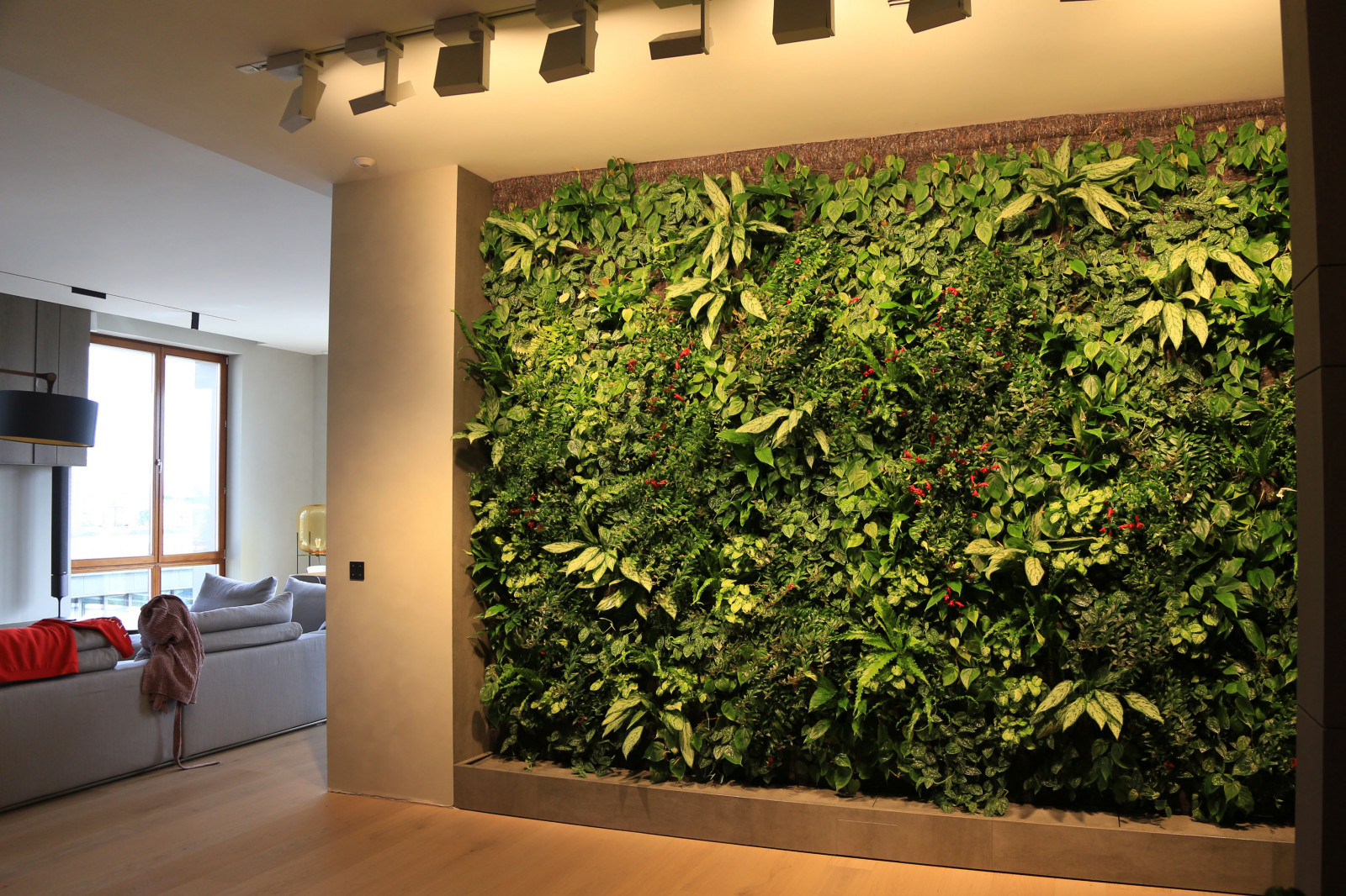 Фитостена в квартире в жилом комплексе у Смольного собора