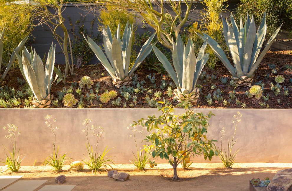 Unbedeckter, Mittelgroßer Moderner Patio neben dem Haus mit Granitsplitt in Los Angeles