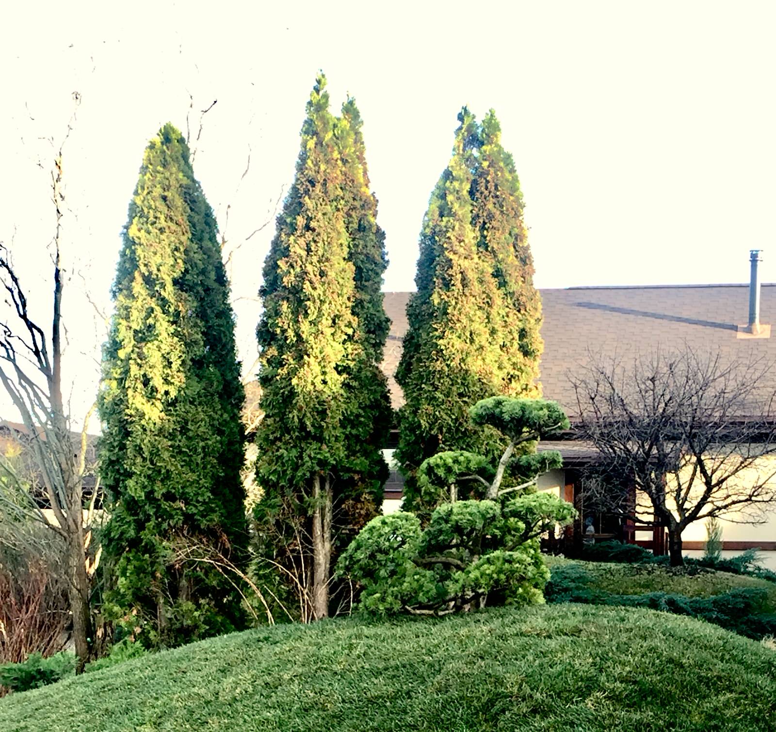 Частный сад