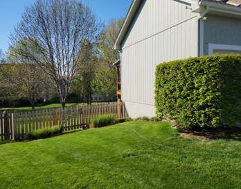 Before Garage Side Yard Gate