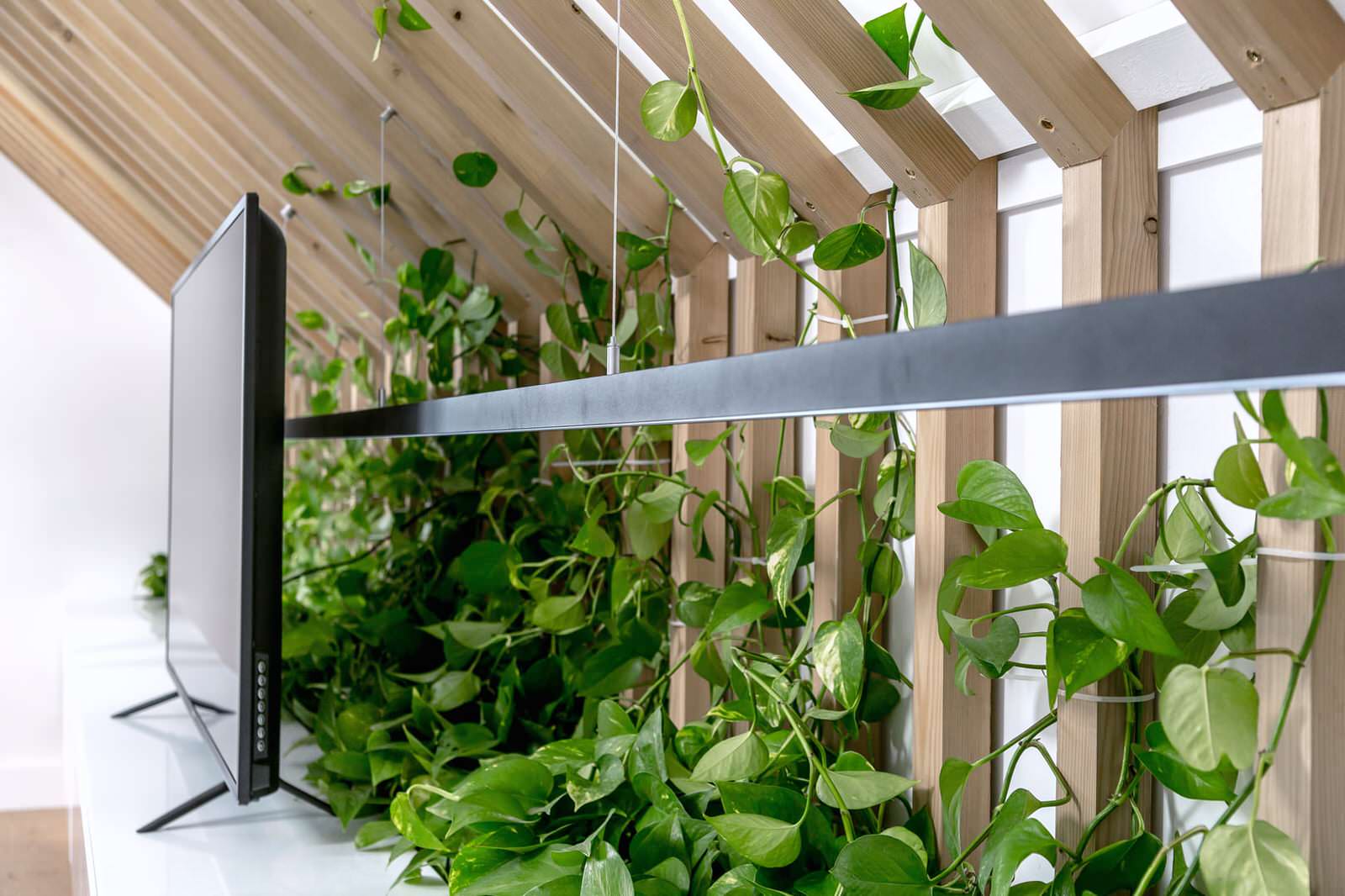 Переделка мансарды для программы Дачный Ответ