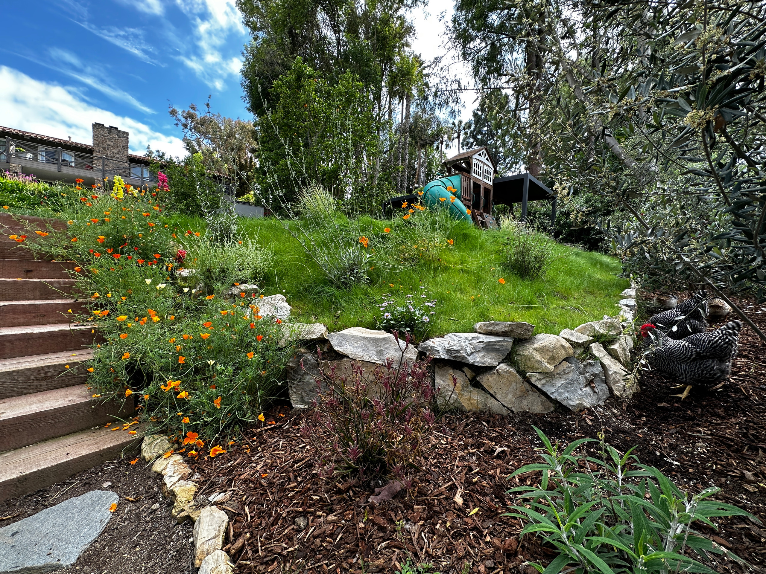 Childhood Oasis