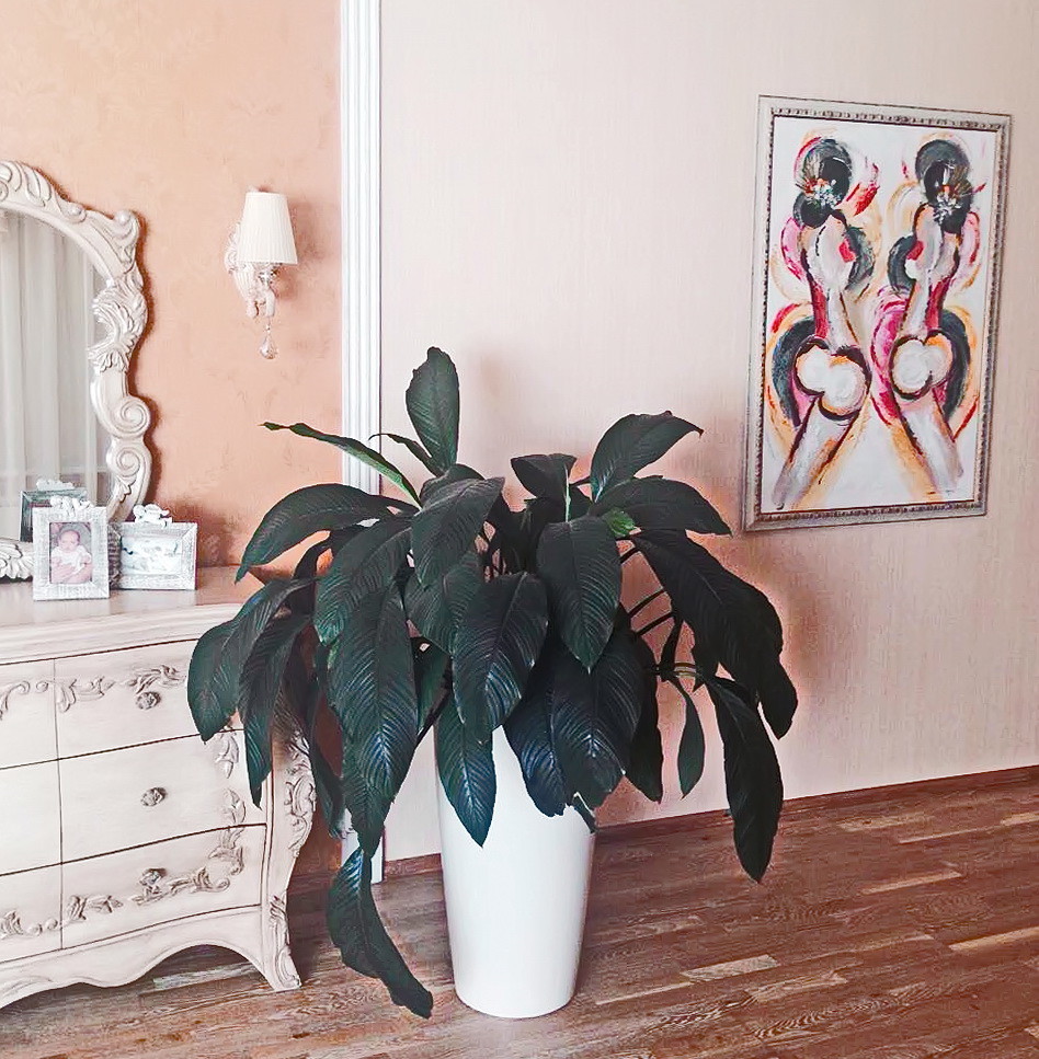 Озеленение частных квартир