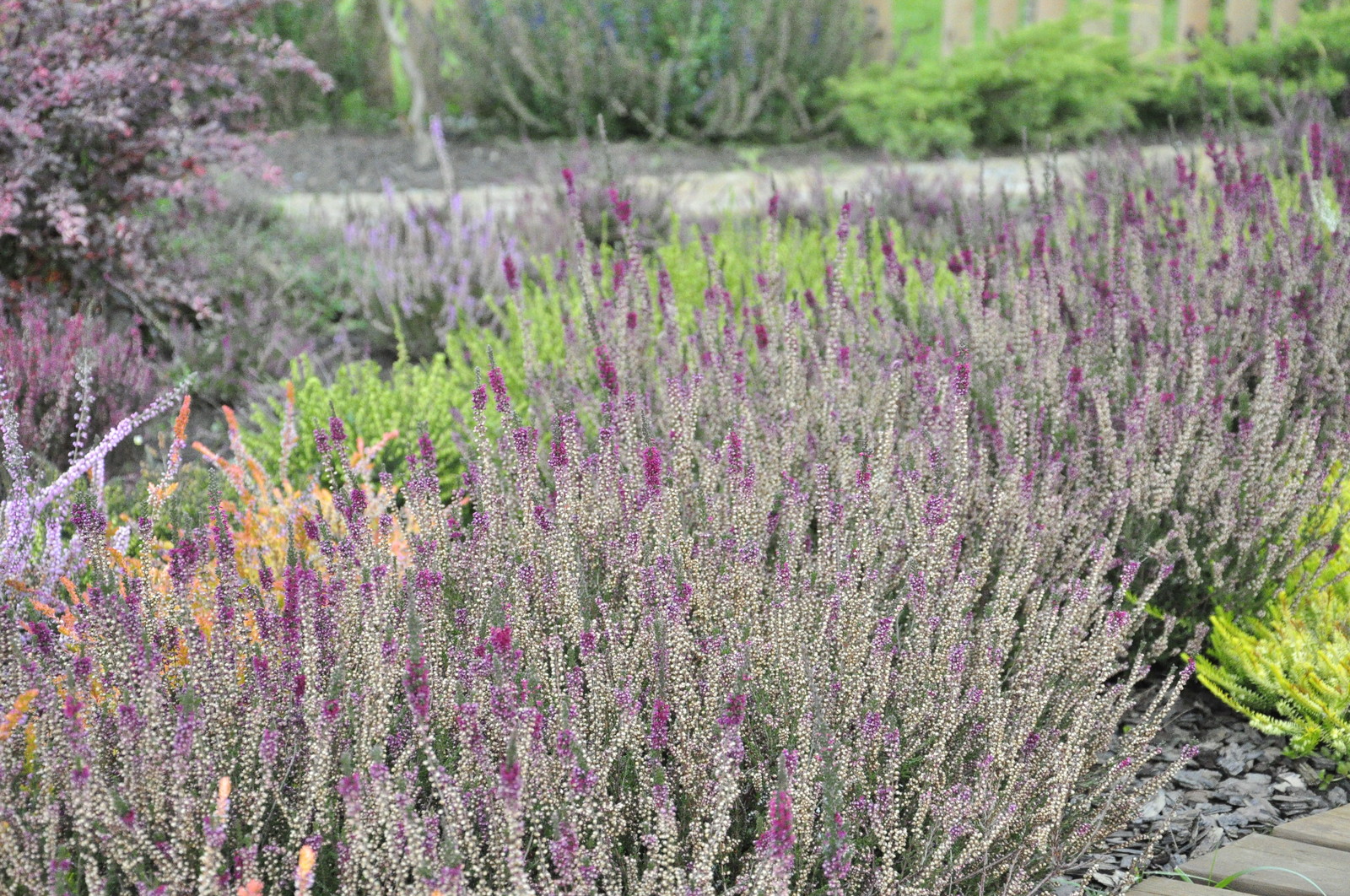 д. Коровино - Уход за садом - 100% качество