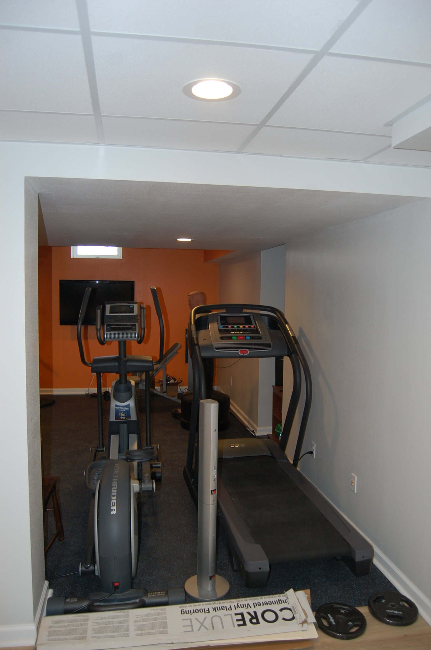 Basement office and work out area