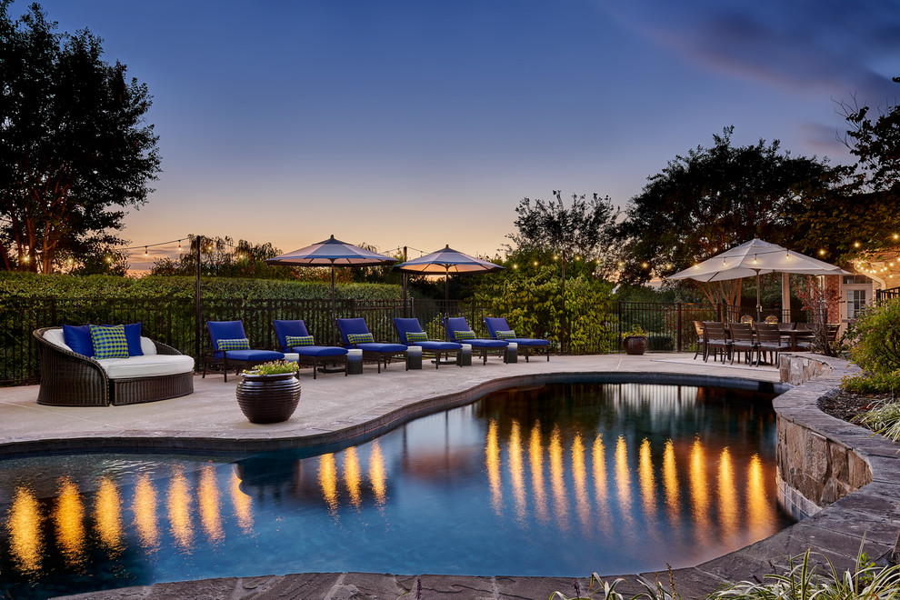 Pool - large transitional backyard custom-shaped and concrete pool idea in DC Metro
