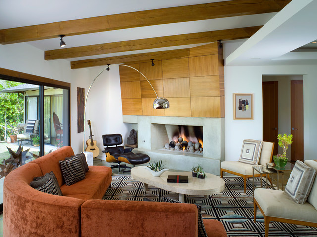 Fireplaces contemporary-living-room