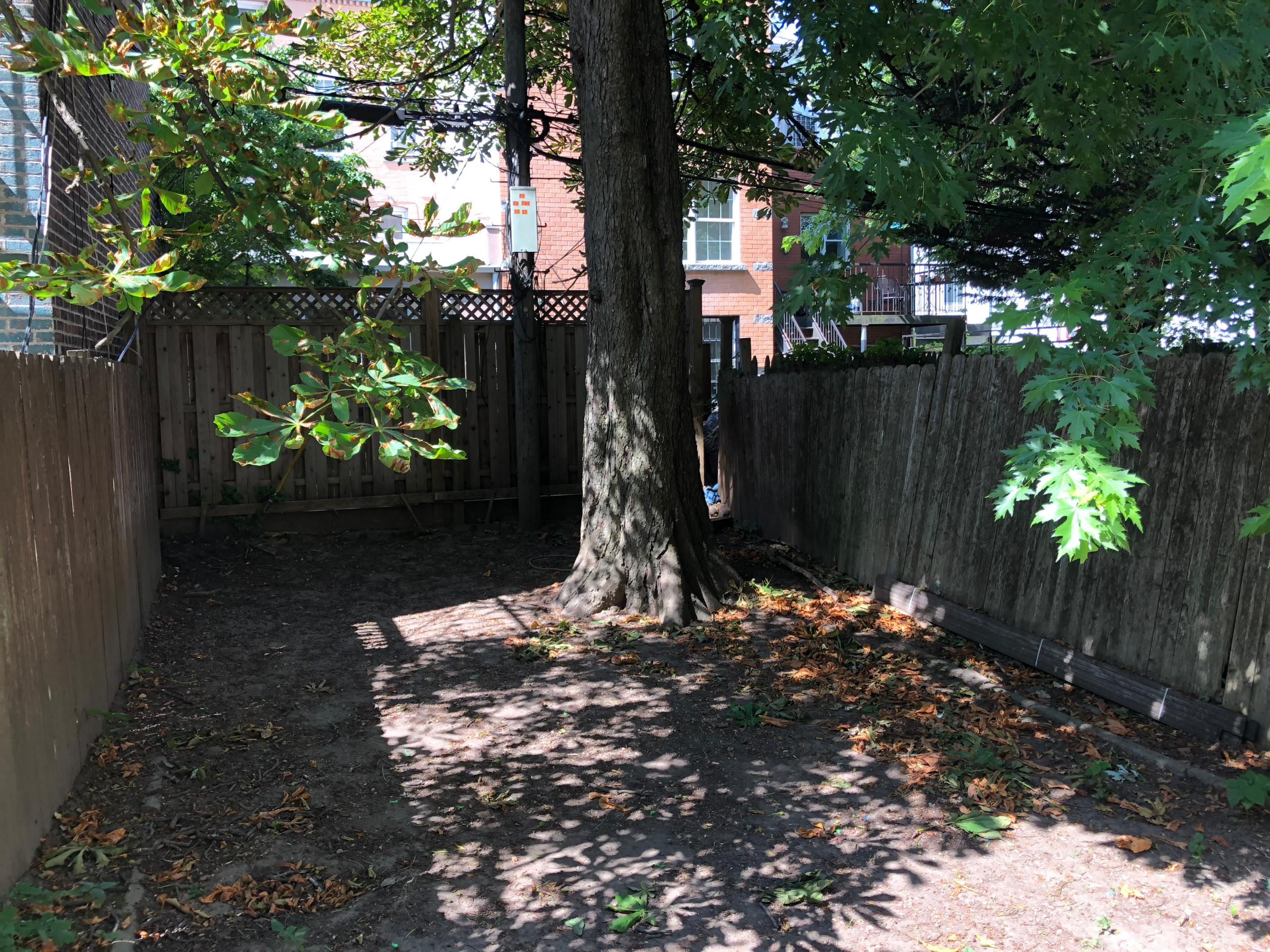 Kids Garden in a Shady  Backyard