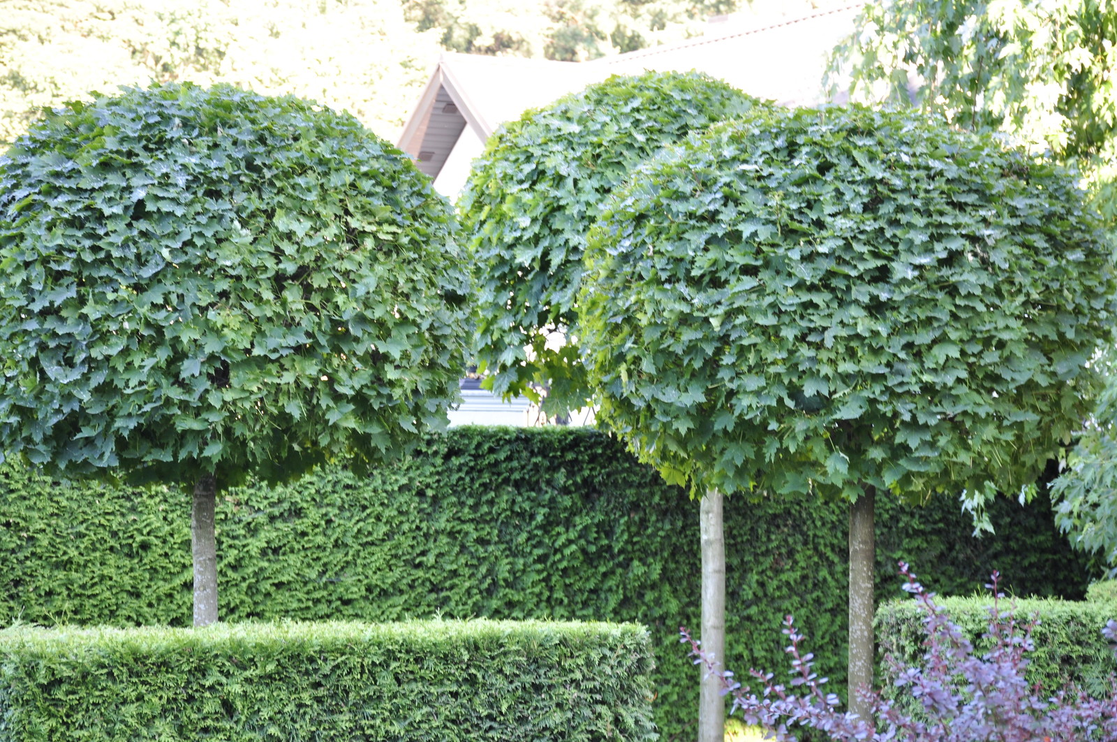 кп "Усово" - Уход за садом - 100% качество