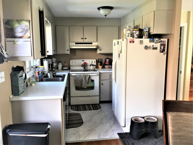 Project 101 transitional