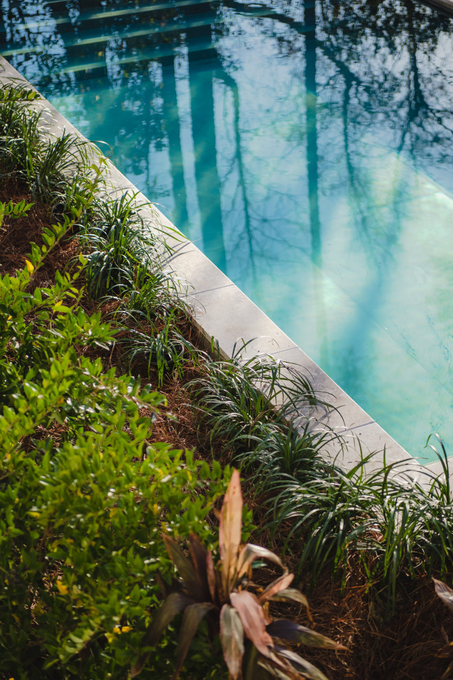Cette photo montre une petite piscine naturelle et arrière tendance rectangle avec une terrasse en bois.