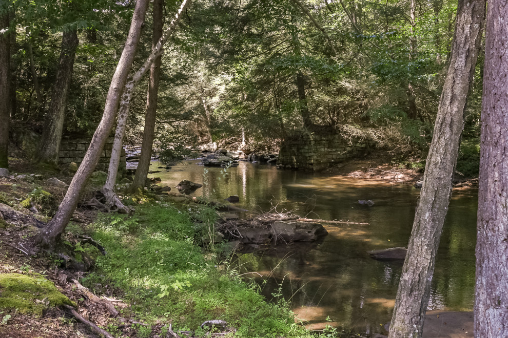 The Creek House
