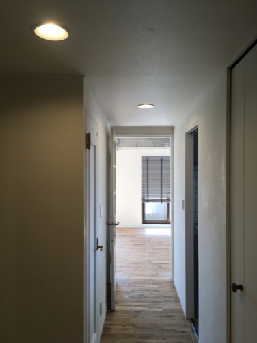 Design ideas for a mid-sized eclectic hallway in Other with white walls, medium hardwood floors and brown floor.
