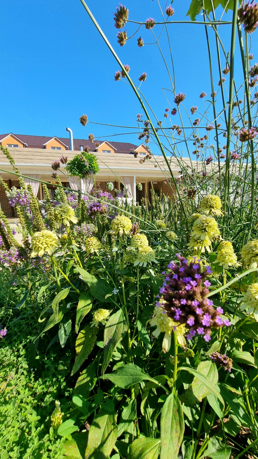 Реализация проекта "Французский дворик"