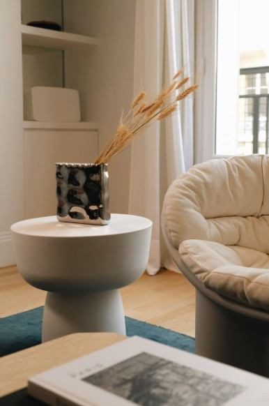 Conception et ré novation d'un Appartement à Paris 16e