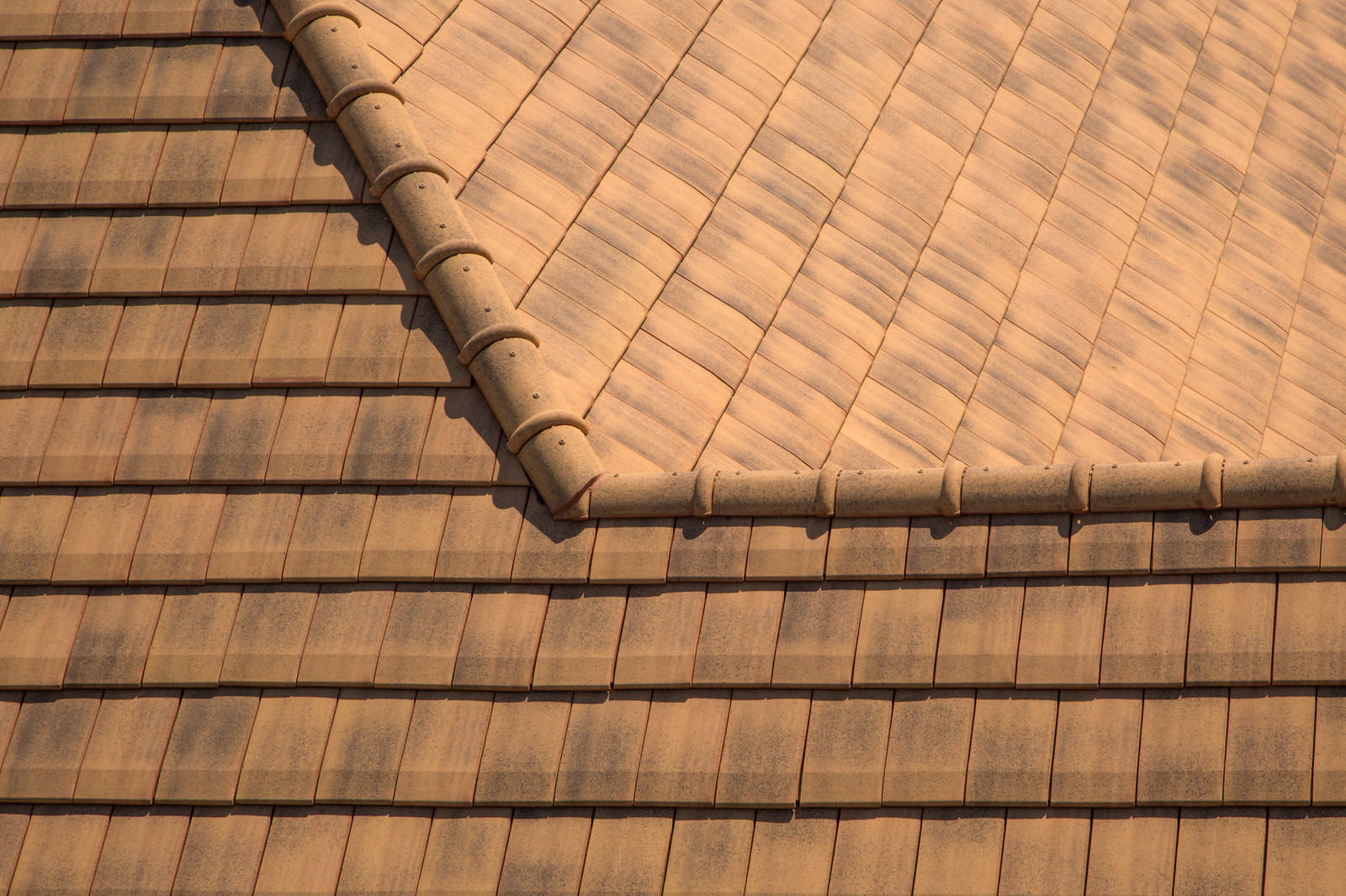 Черепичные крыши от компании Terreal