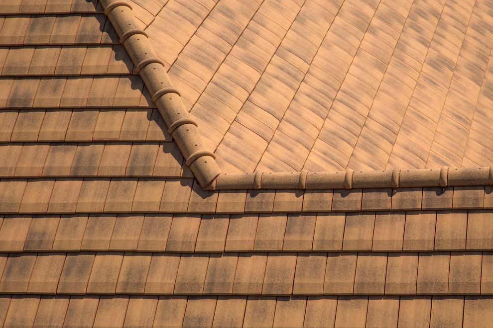 Черепичные крыши от компании Terreal