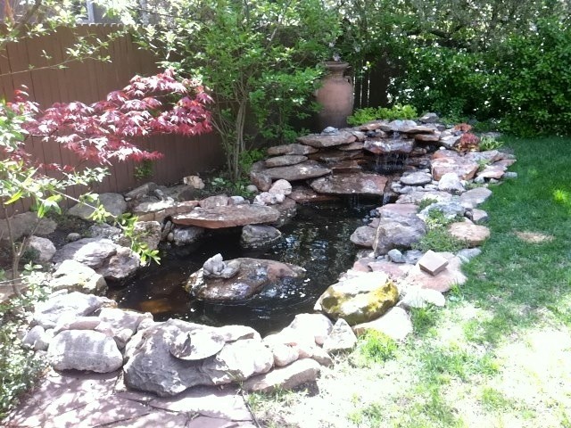 Custom Water Features