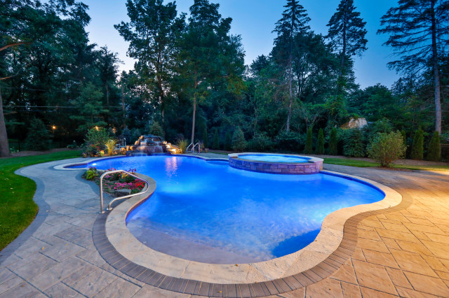 Naperville Il Freeform Swimming Pool With Raised Hot Tub Traditional