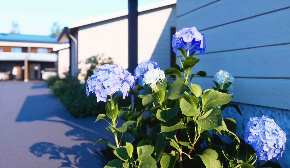 3D-visualisointityöni