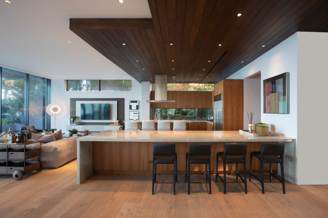 Kitchen contemporary