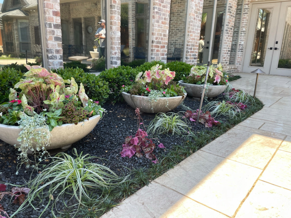 Back yard and pool landscape