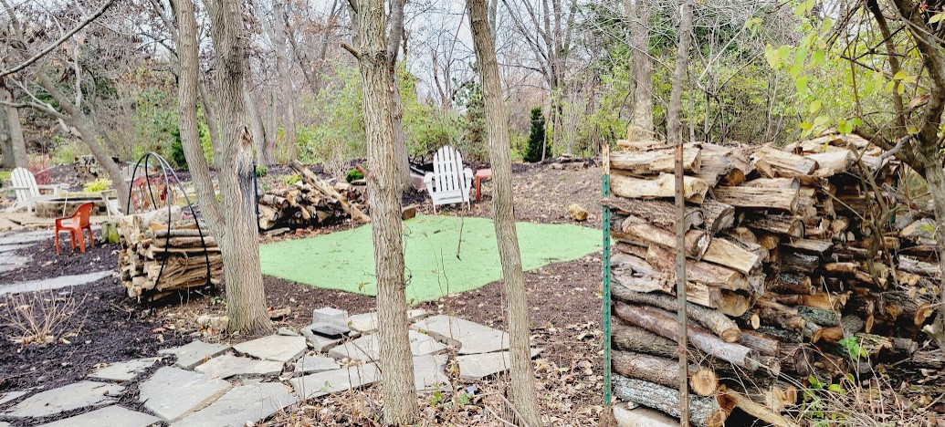 Creative Play Woodland