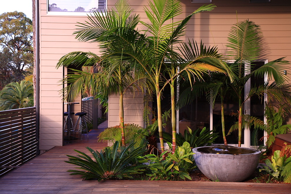 This is an example of a mid-sized tropical courtyard full sun garden in Sydney with a water feature and mulch.
