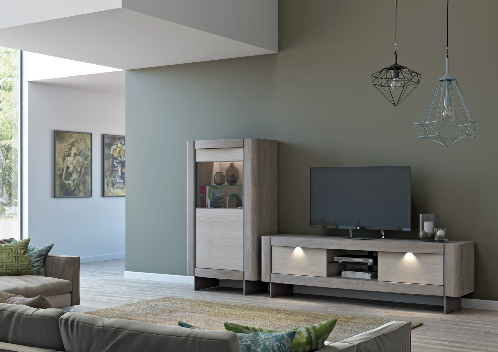 Trendy living room photo in Other