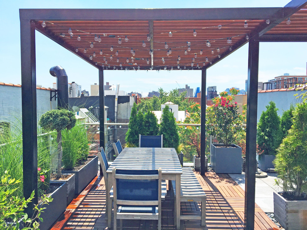 Inspiration for a contemporary rooftop deck in New York with a container garden and a pergola.