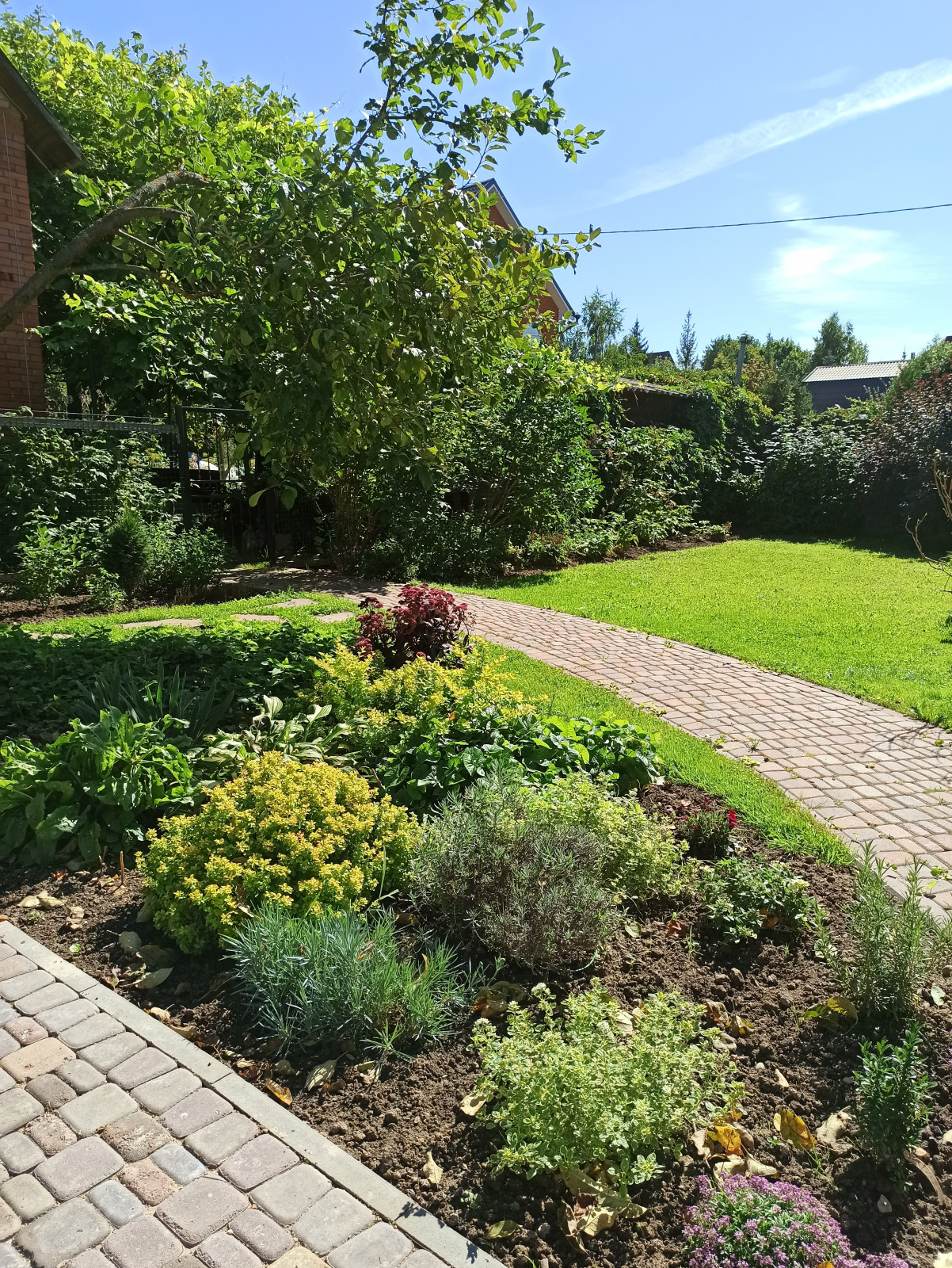 Ландшафт сада в 6 соток.