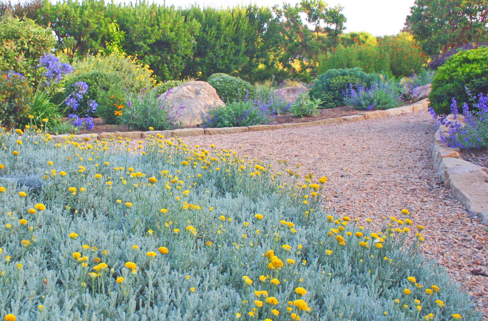 This is an example of a large mediterranean backyard partial sun formal garden in Santa Barbara with a garden path and gravel.
