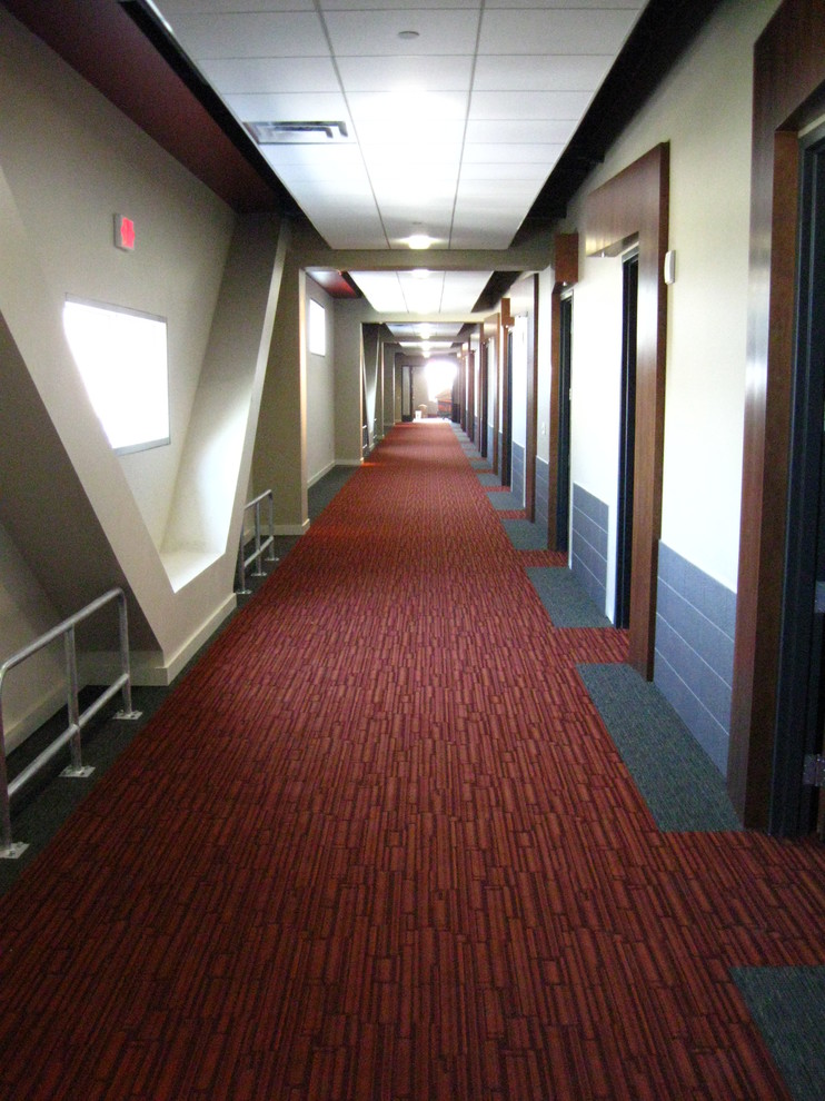 Hallway - transitional hallway idea