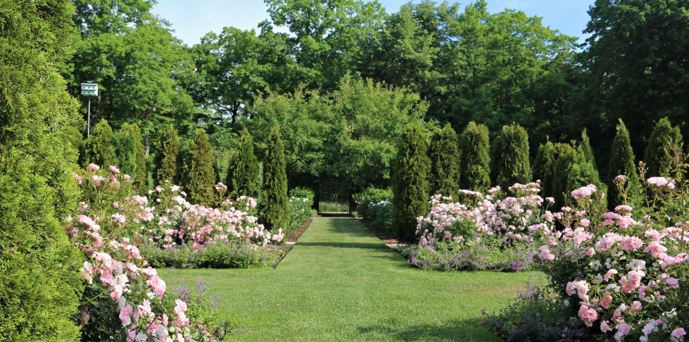 Idee per un grande giardino vittoriano esposto in pieno sole dietro casa in estate