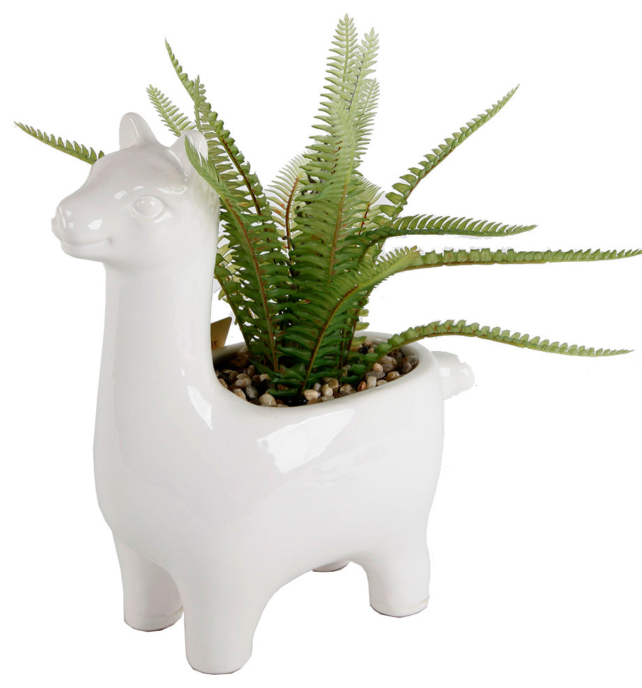 10"H Md Fern Ceramicwhite Llama,White