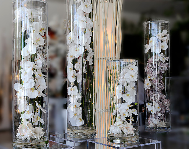 Emilio Robba Illusion Flowers White Phalaenopsis Orchid Living Room