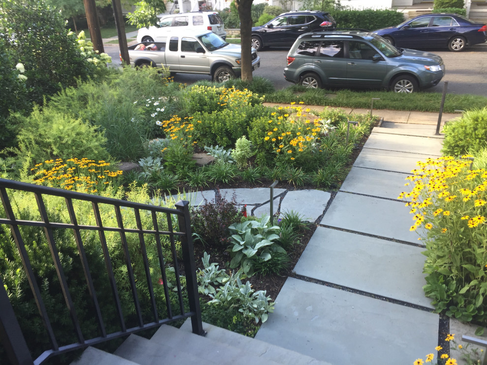 Chevy Chase DC