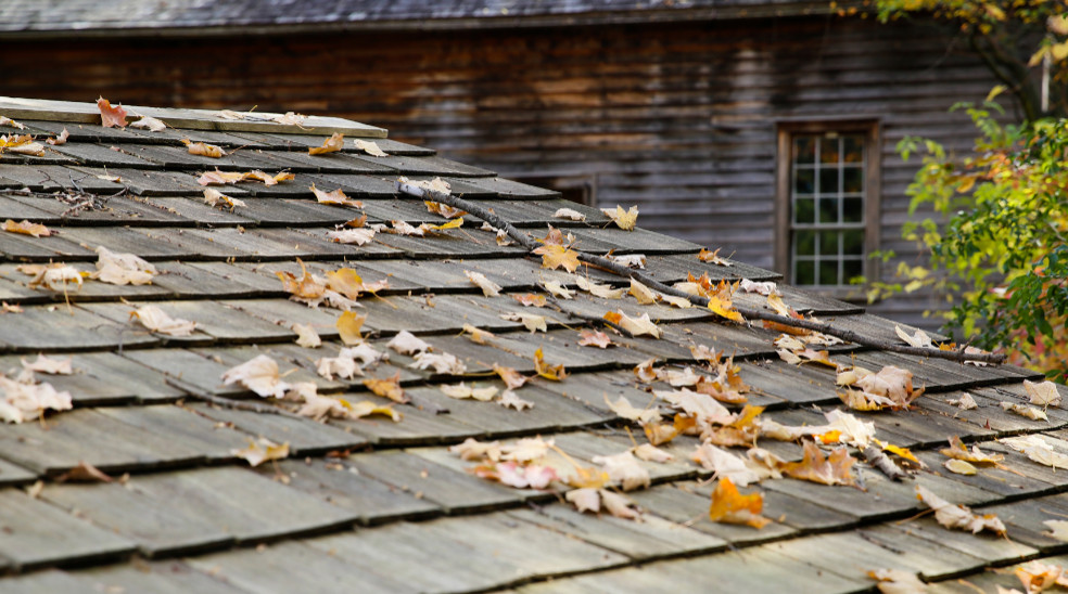 best season to remove moss