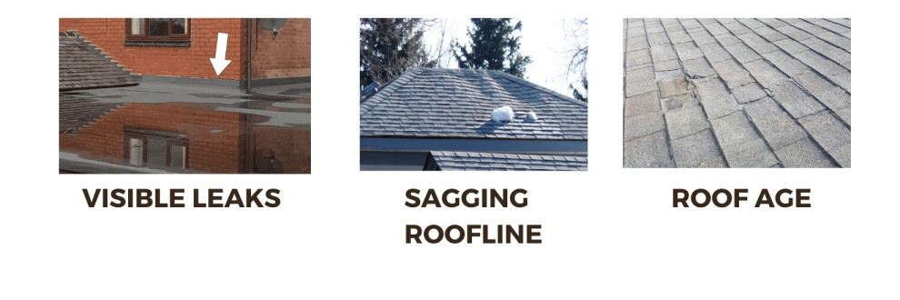 Roof Leaks, Sagging Roofline, Roof Age