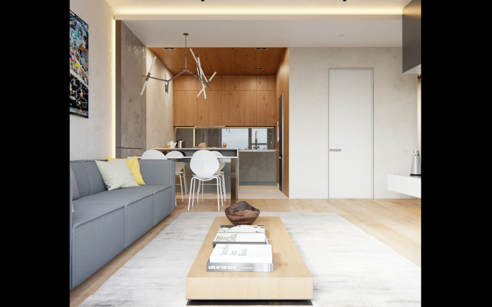 Проект квартиры для молодого человека в Жк Лайнер