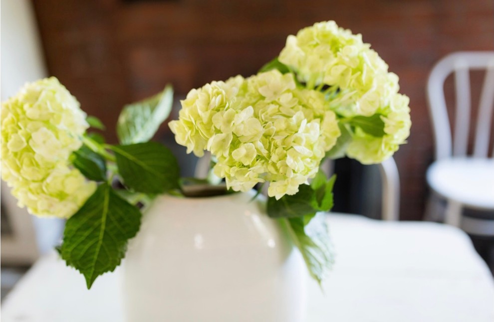 HouseHome Started Here | Littleton, CO | My Historic Home