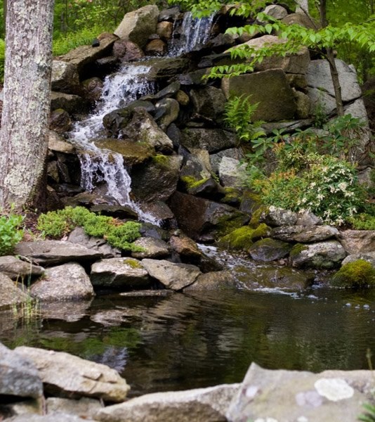Landscape Projects garden