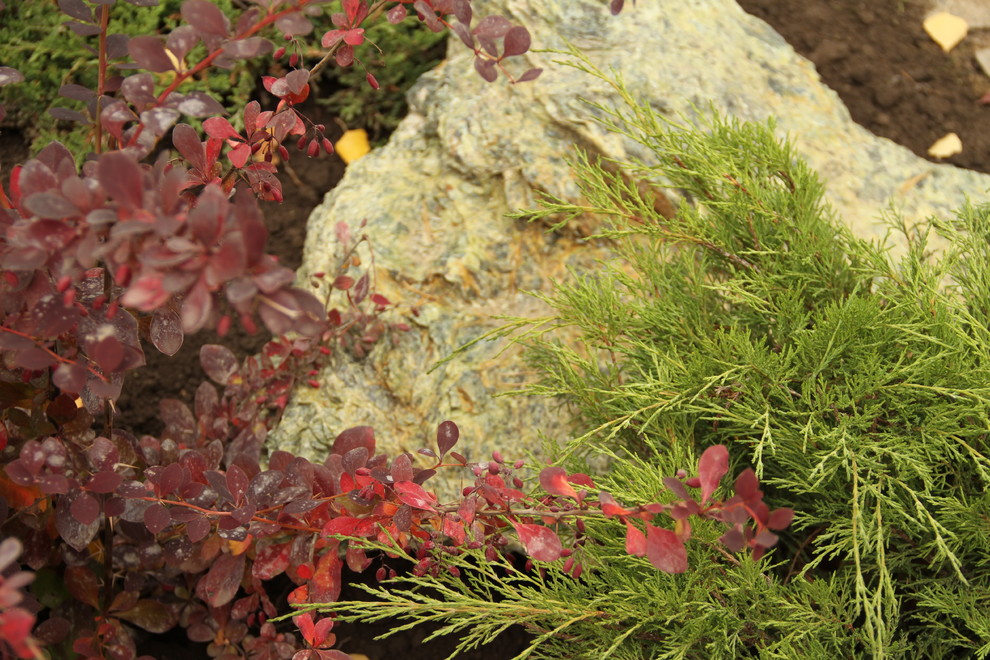 Цветник с камнями и композицией из кустарника